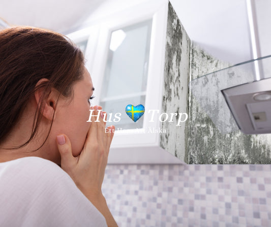hus och torp hus mögel
